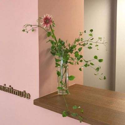 易倍手机app下载